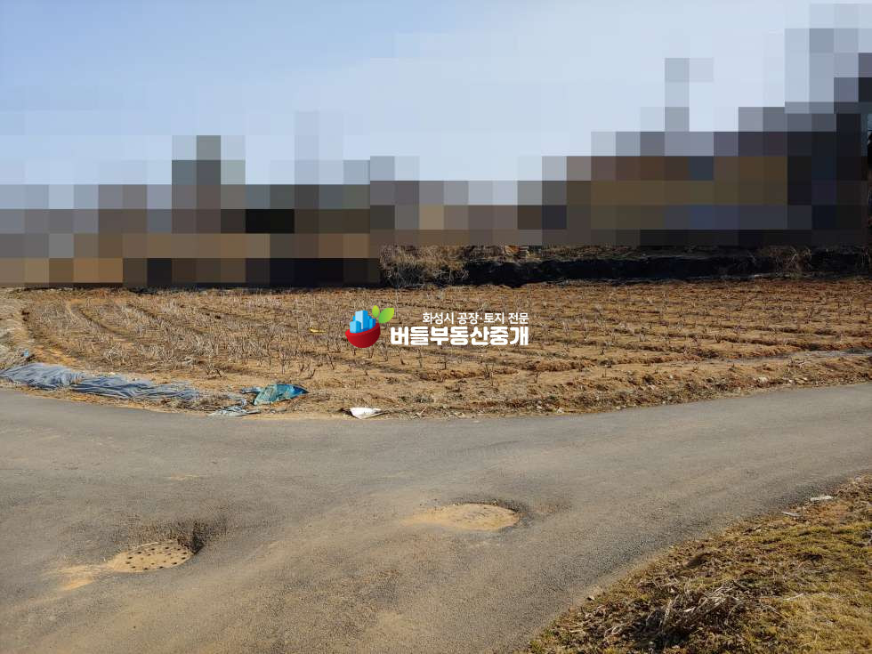 경기 화성만세구 장안면 장안리 저렴한 300평 전원주택 및 주말농장 부지 매매 매물번호 10053 사진 1