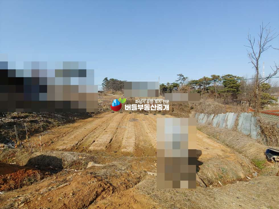 경기 화성만세구 장안면 장안리 전원주택 및주말농장용 500평 부지, 4차선국도 2분거리 매매 매물번호 10052 사진 2