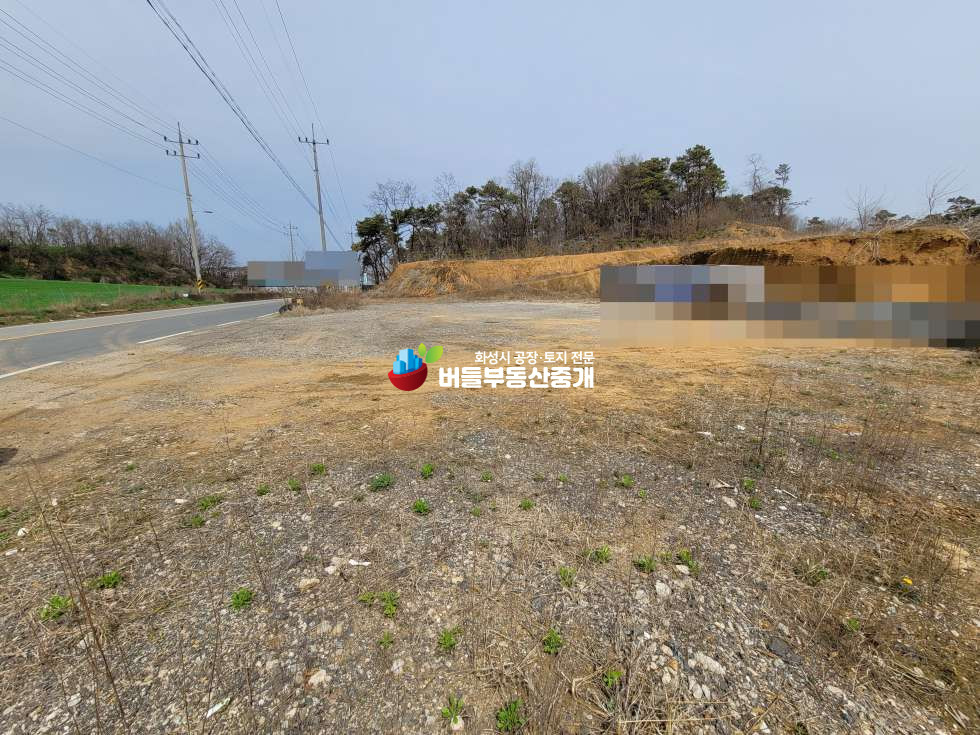 경기 화성만세구 장안면 사랑리 2차선도로 접한 근린생활시설 및 전원주택용 부지 매매 매물번호 10071 사진 2