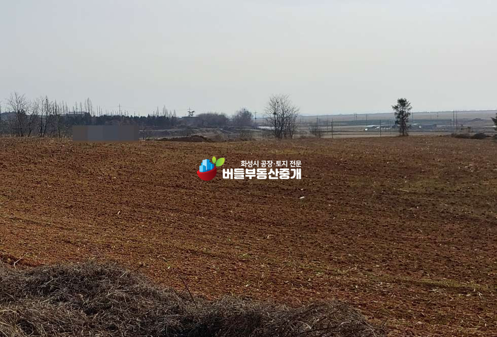 경기 화성만세구 우정읍 운평리 수원군공항이전 투자 1600여평 임야 매매 매물번호 10093 사진 2