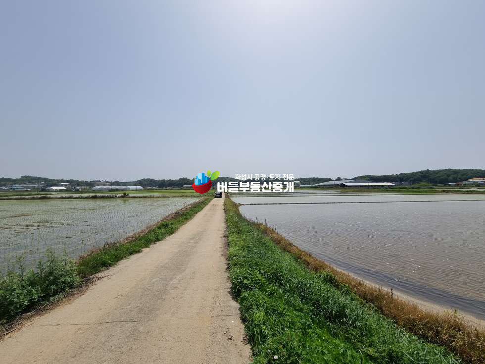 경기 화성만세구 장안면 석포리 농지(답) 매매 1953평 평당22만원 매매 매물번호 10098 사진 1