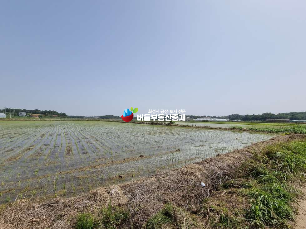 경기 화성만세구 장안면 석포리 농지(답) 매매 1953평 평당22만원 매매 매물번호 10098 사진 2